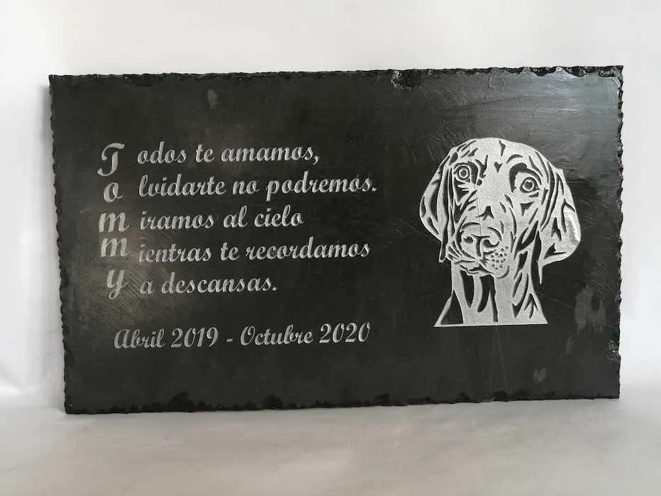 Memorial Mascotas en Piedra